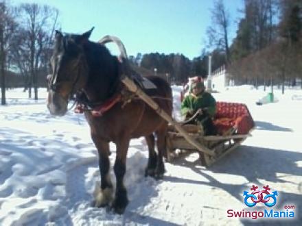 Секс знакомства в Zima Irkutsk с фото - зоомагазин-какаду.рф